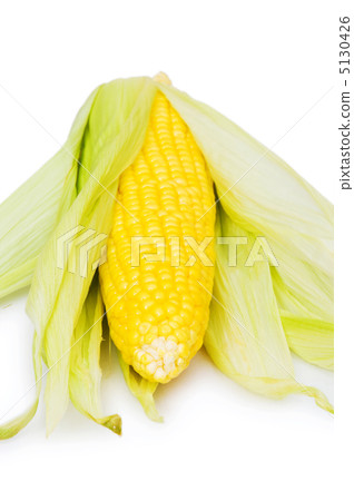 Corn cobs isolated on the white background Corn cobs isolated on the white background 5130426