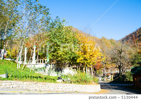 Mansion in the middle of mountain forest Mansion in the middle of mountain forest 5130444