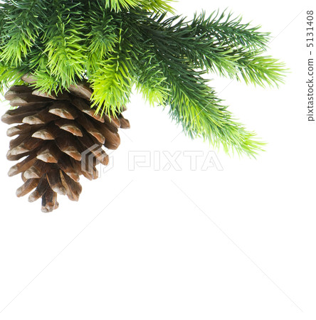 Cone and christmas tree isolated on white 5131408