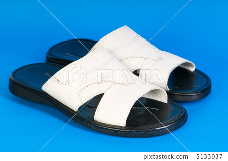 Fashion concept - Summer shoes on the background 5133937