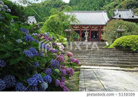 奈良繡球花的亞達寺 5138109