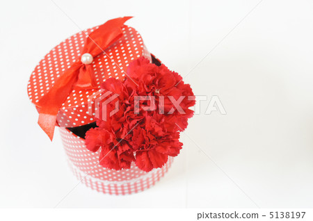Gift box and red carnation Gift box and red carnation 5138197