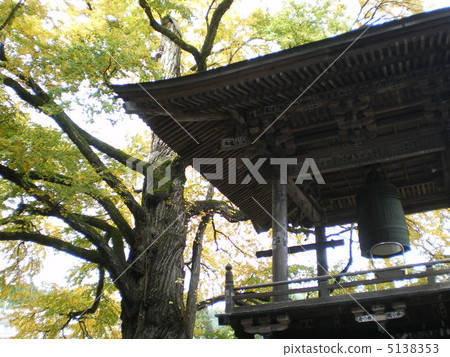 Bell tower and old trees Bell tower and old trees 5138353