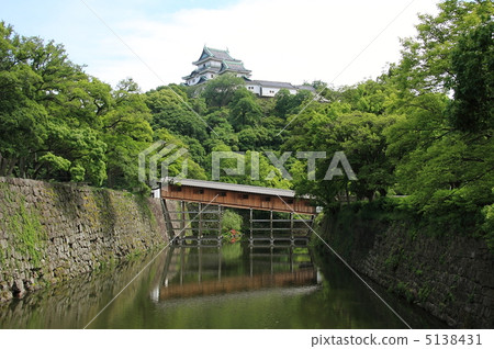 和歌山城 和歌山城 5138431