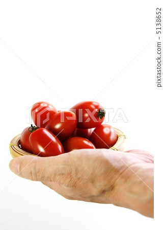 高級手上的迷你西紅柿·愛子·白背垂直位置 5138652