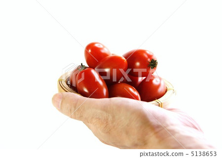 高級手上的迷你西紅柿·愛子·白背側身位置 5138653