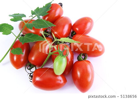 成熟的迷你西紅柿和愛子和紅色深紅色的葉子·白色背面側身·鳥瞰圖 5138656