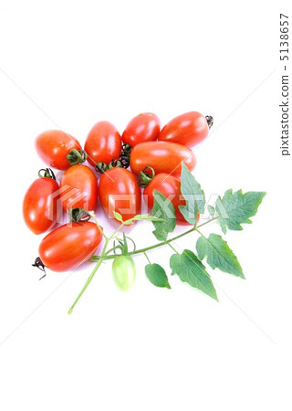成熟的迷你西紅柿和愛子和紅緋紅色的葉子·白背垂直位置·對角鳥瞰圖 5138657