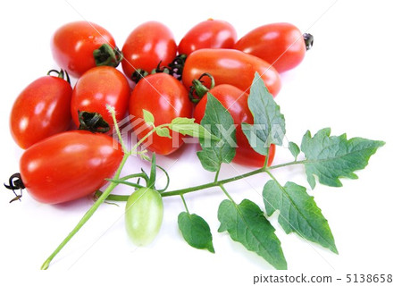 成熟的迷你番茄葉子·aiko和紅色cray·白色背面側身·斜鳥瞰 5138658