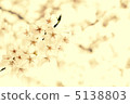Cherry Blossoms	 5138803