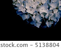 hydrangea   5138804