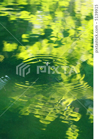 Amenbo在綠色圍攏的池塘 Amenbo在綠色圍攏的池塘 5139915