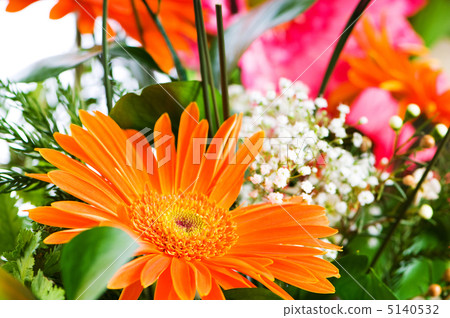 Orange gerbera flower agaisnt green blurred background 5140532