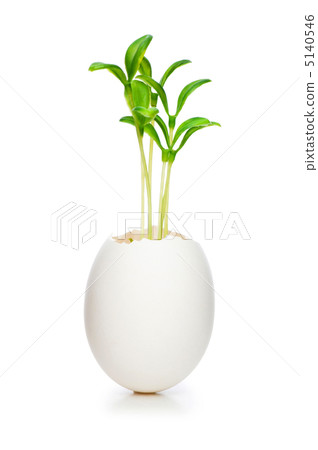 New life concept with seedling and egg on white New life concept with seedling and egg on white 5140546
