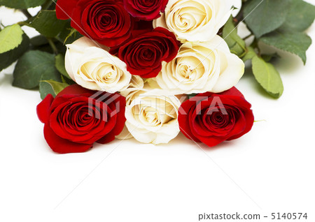 Red and white roses isolated on white Red and white roses isolated on white 5140574