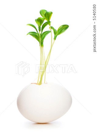 New life concept with seedling and egg on white New life concept with seedling and egg on white 5140580