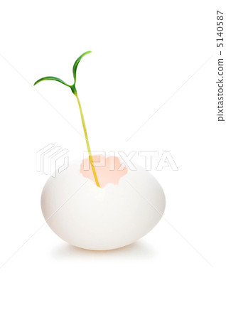 New life concept with seedling and egg on white New life concept with seedling and egg on white 5140587