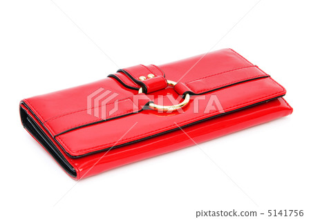 Woman bag isolated on the white background 5141756