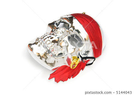 Skull mask isolated on the white background 5144043