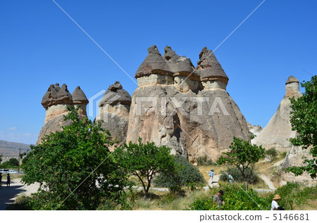 Mushroom rock 5146681