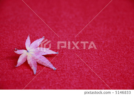 autumn autumn 5146833