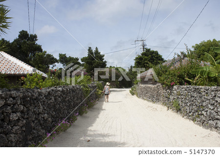 Road and private house of Taketomi-jima village in Okinawa prefecture Road and private house of Taketomi-jima village in Okinawa prefecture 5147370