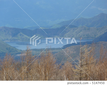 Fuji Goko Fuji Goko 5147450