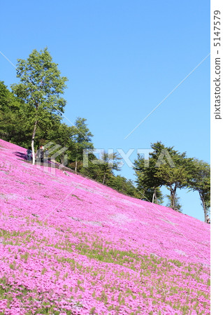 Takigami Park Takigami Park 5147579