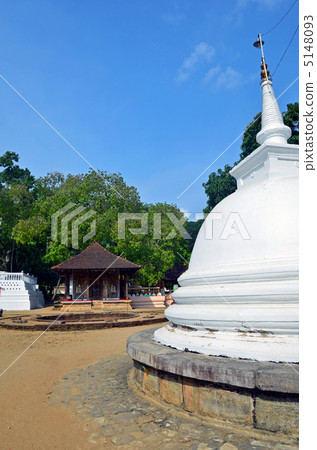 Candy's Nata Darwaraya 5148093