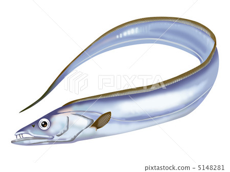 帶魚 帶魚 5148281