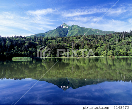 Himenuma in early summer and Rishiri Fuji 5148473
