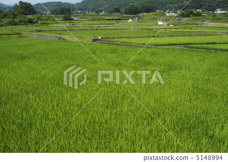 rural rural 5148994