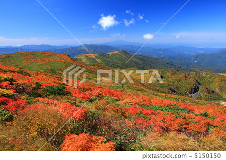Mt. Kurikoma (Mt. Sugawa), one of the 100 famous mountains of flowers known for the most beautiful mountain autumn leaves in Japan Mt. Kurikoma (Mt. Sugawa), one of the 100 famous mountains of flowers known for the most beautiful mountain autumn leaves in Japan 5150150