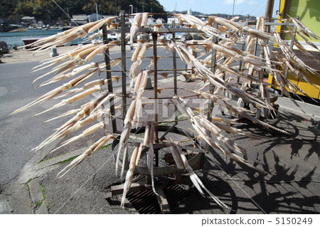 Rotating squid dryer 5150249