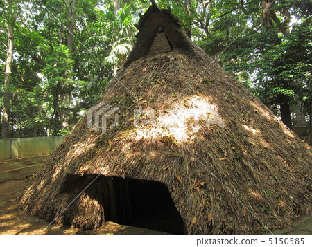 Pit-type dwellings of Yoyogi Hachimangu Shrine 5150585