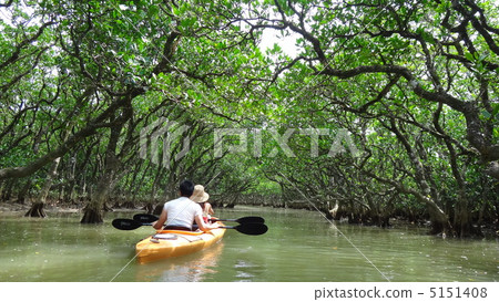 Mangrove canoe Mangrove canoe 5151408