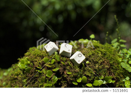 Eco Eco 5151691