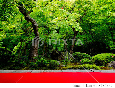 Enkoji花園 5151889