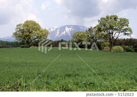 From Iwateyama and Koiwai Farm 5152023