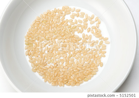 Brown rice 5152501
