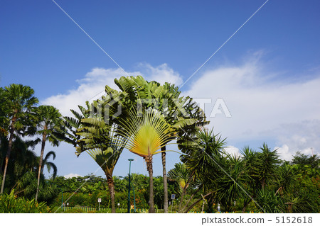 Landscape in tropical land Landscape in tropical land 5152618