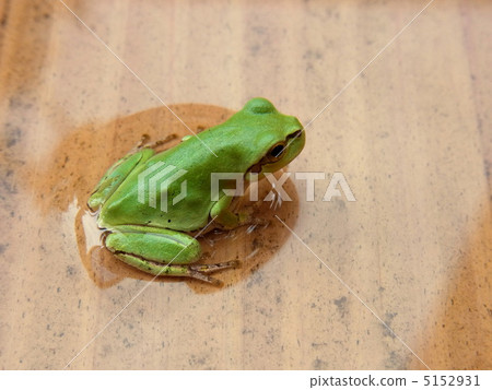 客戶在下雨後的早晨 客戶在下雨後的早晨 5152931