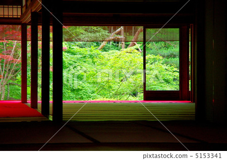 Aoba seen from the back of the Nanzenji Tensakuan 5153341
