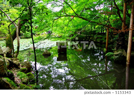 南禪寺Tensakuan花園 5153343