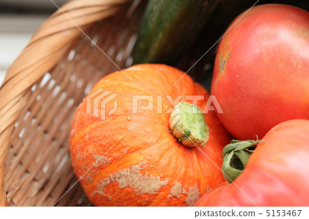 Mini Pumpkin Curly Boy Mini Pumpkin Curly Boy 5153467