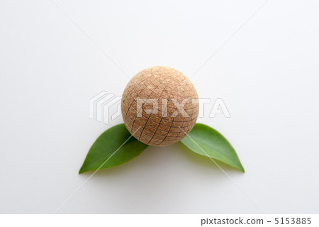 Cork ball and leaves Cork ball and leaves 5153885