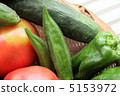 Summer Vegetable Okra 5153972