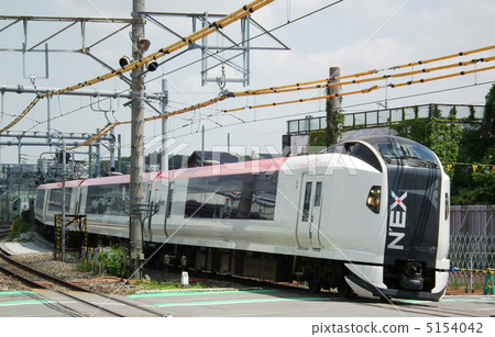 成田特快E259系列戶塚站 成田特快E259系列戶塚站 5154042