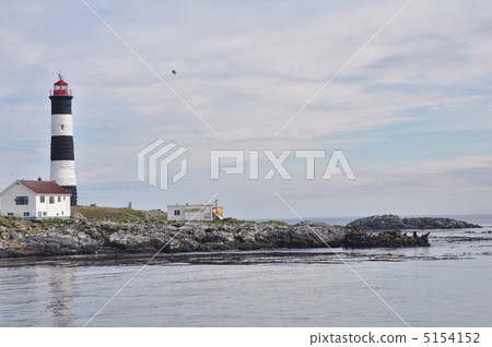 Lighthouse off the coast of Victoria, Canada 5154152