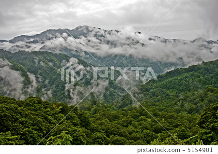 World Heritage Shirakami Mountains World Heritage Shirakami Mountains 5154901